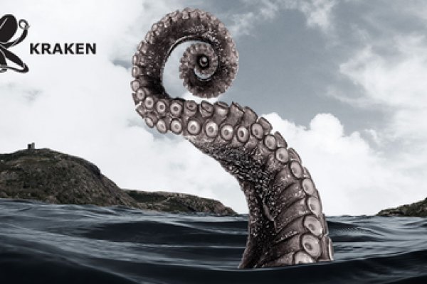 Kraken kraken link24 info