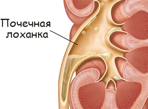 Актуальная ссылка на кракен kraken014 com